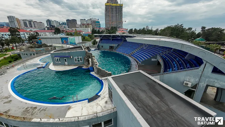 Inside the Batumi Dolphinarium